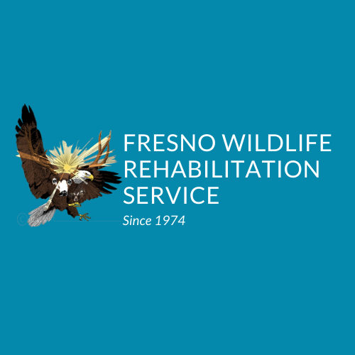 Fresno Wildlife Rehab