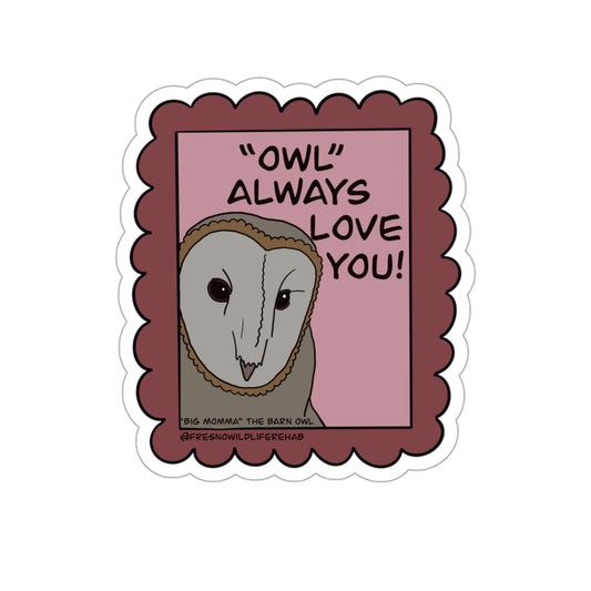 Valentines Day-Barn Owl